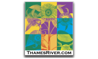 trg_logo