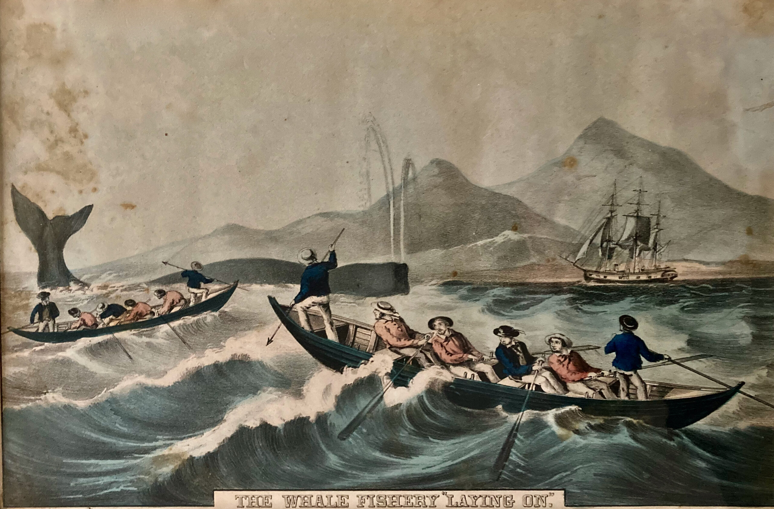 Boat Tour: Blowholes, Blubber, & Breaches. Whaling Tales on the Thames.